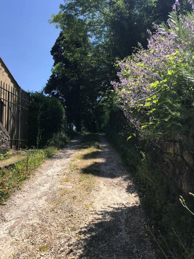 Antica Dimora Di Laura Apartment Barberino di Mugello Bagian luar foto
