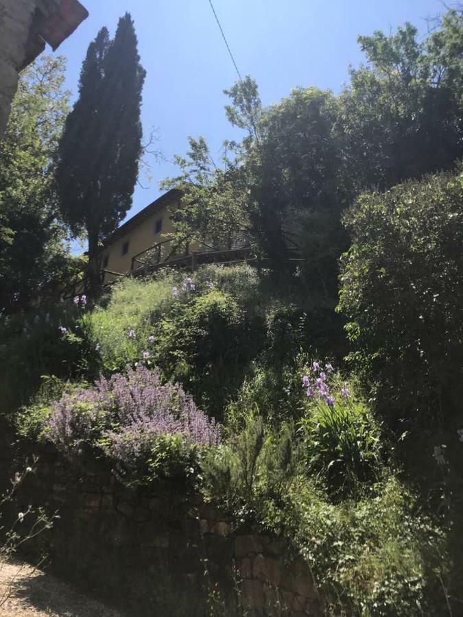 Antica Dimora Di Laura Apartment Barberino di Mugello Bagian luar foto